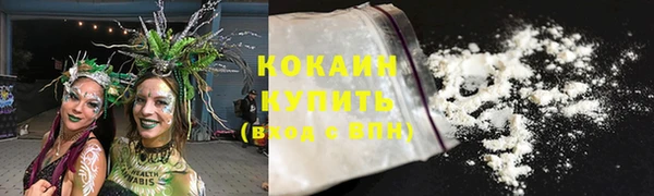 гидра Верхний Тагил