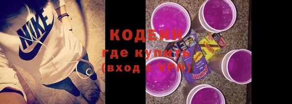 сатива Верея