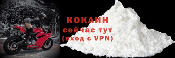 гидра Верхний Тагил