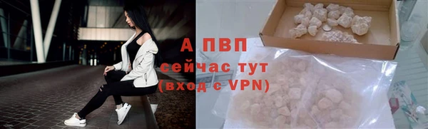 гидра Верхний Тагил