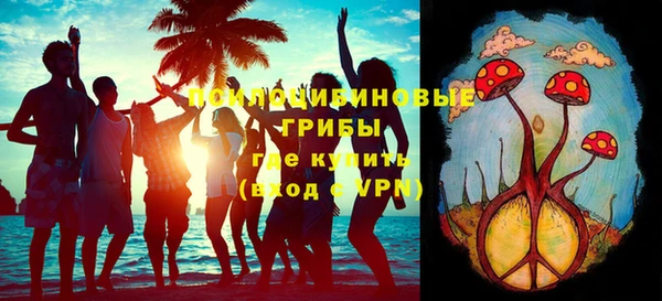 экстази Бородино