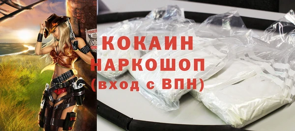 сатива Верея