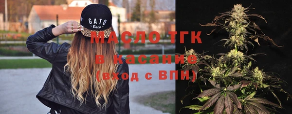 гидра Верхний Тагил