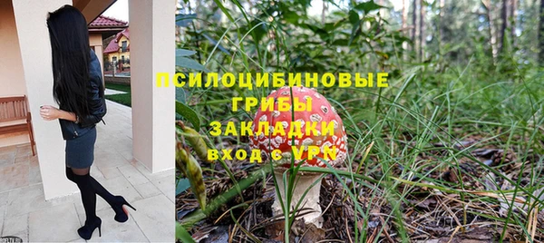 экстази Бородино