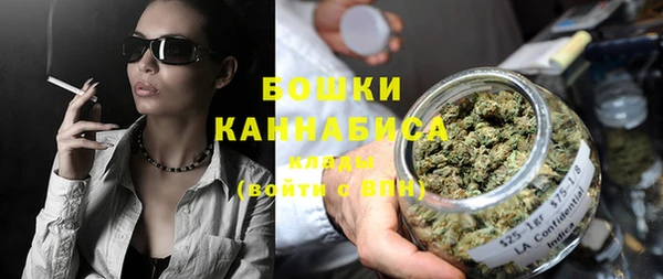сатива Верея