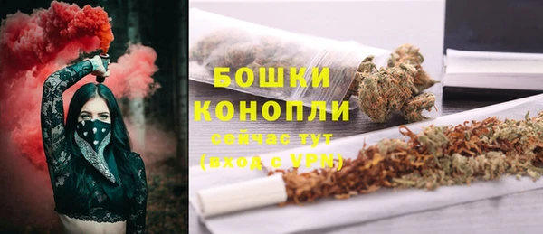 гидра Верхний Тагил