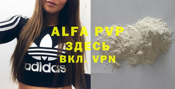 гидра Верхний Тагил