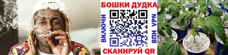 Бошки марихуана AK-47  где можно купить   Венёв 